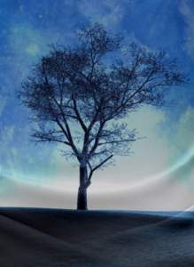 Camiseta sin mangas sublimada estampada, ropa de poliéster sin mangas, talla de EE. UU., camiseta sin mangas para mujer, camiseta sin mangas para estilo callejero, OEM personalizado - Product Image 3