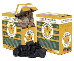 木炭石炭ベースの粒状活性炭吸着剤脱色木炭