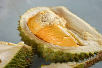 Beste Smaak Bevroren Durian Van Vietnam-Premium Natuurlijk Gezond