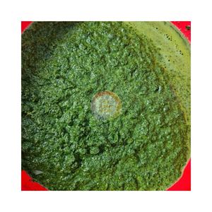 LISTO PARA EXPORTAR HOJAS DE YUCA CONGELADAS Y TRITURADAS VENTA A LO MÁS BARATO PRECIO DE FÁBRICA AL POR MAYOR ENTREGA RÁPIDA MOLIR HOJAS DE MANIJA - Product Image 1