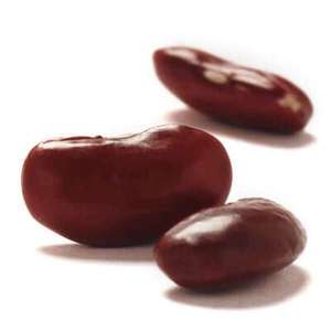 Compre Frijoles Blancos Orgánicos Al por Mayor Secos a Granel - Product Image 6