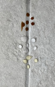 FILA Solutions d'entretien des surfaces FUGAPROOF Scellant pour joints à base d'eau Tous types de joints Anti-taches Hydrofuge Facile à nettoyer Sans COV - Product Image 4