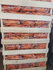 New Cà Rốt Crop Cao Cấp Chất Lượng Class Một Cà Rốt Ai Cập Tươi Cà Rốt Bán Buôn Giá Rẻ Giá Tự Nhiên Khỏe Mạnh Rau Sạch - Product Image 4