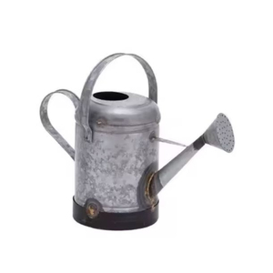 Mini arrosoir de plantes de bidon d'eau en métal enduit de poudre de couleur avec poignées pour une utilisation dans le jardin - Product Image 6