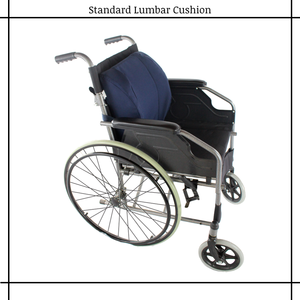 DLG Medic nuovo 2024 Standard cuscino lombare da Messico disponibile nel miglior prezzo di mercato per la vendita - Product Image 3