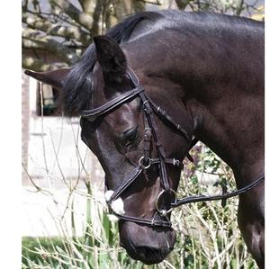 Bride de nez mexicaine professionnelle Elegance Équipement d'équitation en cuir de haute qualité avec logo personnalisé - Product Image 1