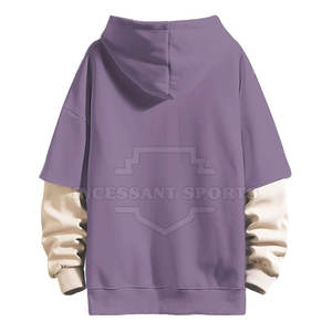 Nouvelle collection de sweats à capuche d'hiver pour hommes, Style de rue, coupe ample - Product Image 2