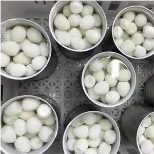 Vente en gros d'oeufs de caille du Vietnam en conserve, pelés, stérilisés et conservés en saumure, prêts à servir, longue durée de conservation - Product Image 1