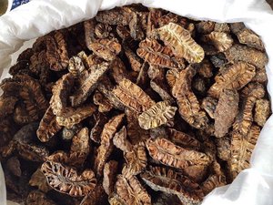 ผลไม้โนนิแห้ง ขนาด 8 มม. คุณภาพสูง อายุการเก็บรักษา 24 เดือน ราคาถูกที่สุด ยี่ห้อ VIETSEAFARM ส่งออกจากเวียดนาม ปี 2022 - Product Image 3
