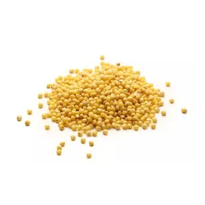 Crop Grain Dried Hulled Yellow Millet For Bird Feed