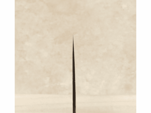 มีดสเต็กเหล็กกล้าคาร์บอนของเชฟคมมีดสเต็กพร้อมด้ามไม้ชิงชันเครื่องมือในครัวปรับแต่งได้ตามต้องการของขวัญแบบทำมือสำหรับคุณพ่อ - Product Image 3