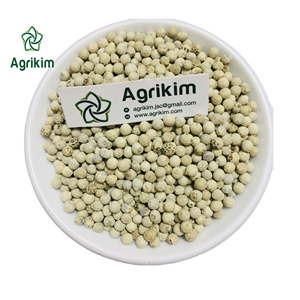 PIMIENTA BLANCA ENTERA DE VIETNAM PIMIENTA BLANCA CON EL MEJOR PRECIO y CERTIFICADOS COMPLETOS DE PROVEEDOR CONFIABLE + 84 35 9169566 - Product Image 1
