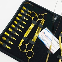 Kit de pinces pour extensions brésiliennes Remy à micro-perles plaquées or et pointe nano, ciseaux de barbier en acier inoxydable pour extensions Super Double Drawn