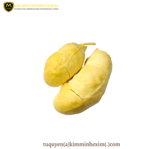 100% pulpe naturelle de durian congelée sans pépins exportée du Vietnam - Product Image 4