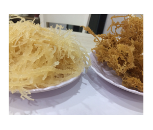 Musgo de mar seco rganic - Product Image 5