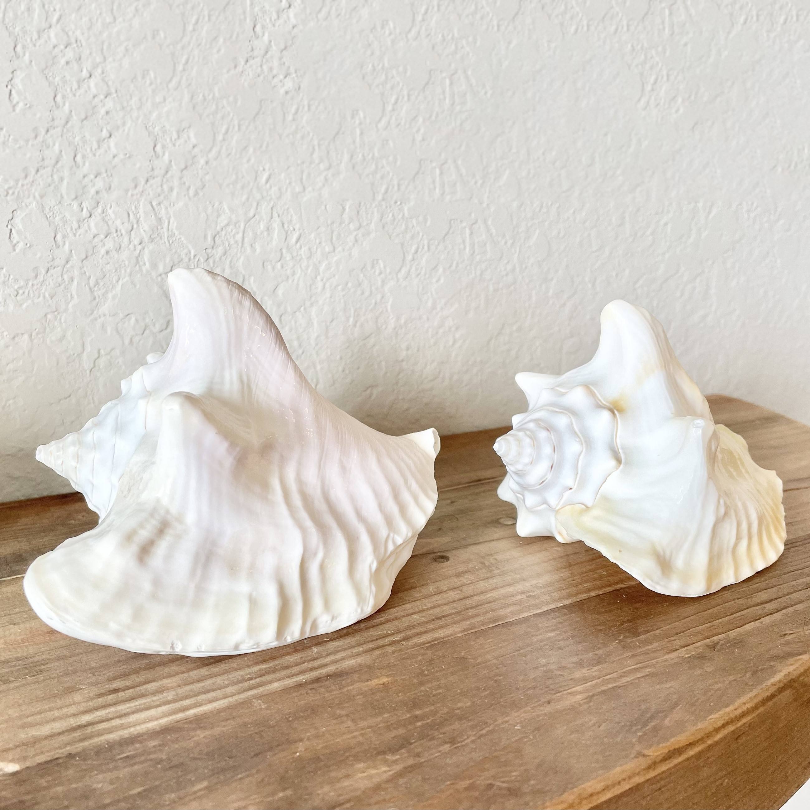 ธรรมชาติ