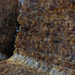 CAOUTCHOUC SVR PREMIUM/HAUTE PURETÉ/QUALITÉ INDUSTRIELLE/FABRIQUÉ AU VIETNAM - Product Image 5