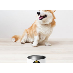 Modern Small Pet Bowl 500ml Waterproof PC <b>Water</b> <b>Bottle</b> <b>for</b> Cat and <b>Dogs</b> Square Shape - Product Image 4