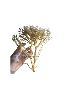 Décorations d'aquarium uniques en bois flotté naturel irrégulier, durables et écologiques, fabriquées au Vietnam - Product Image 1