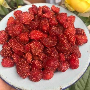 Nouvelle récolte Fraises séchées douces et douces naturelles pures Prix compétitif Fruits Snack Facile à manger pendant le temps de détente - Product Image 2