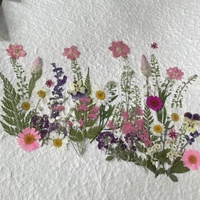 Espécimen de flores naturales mixtas personalizadas para decoración de resina DIY flores prensadas secas reales hechas a mano