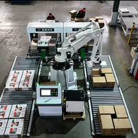Machine de palettisation automatique de boîtes en carton Changteng, palettiseur robotisé pour emballages en carton ondulé