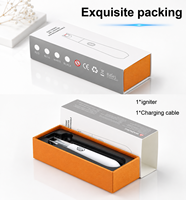 Mini mignon arc électrique briquet coupe-vent USB rechargeable bougie Barbecue briquet de cuisine