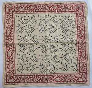 Pañuelo de Cuello de Algodón Estampado a Mano con Bloques Indios - Product Image 3