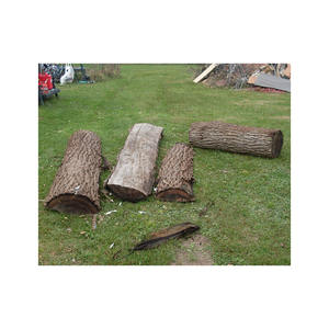 Bois de chauffage solide en noyer fourni en volume pour un apport de chauffage constant - Product Image 3