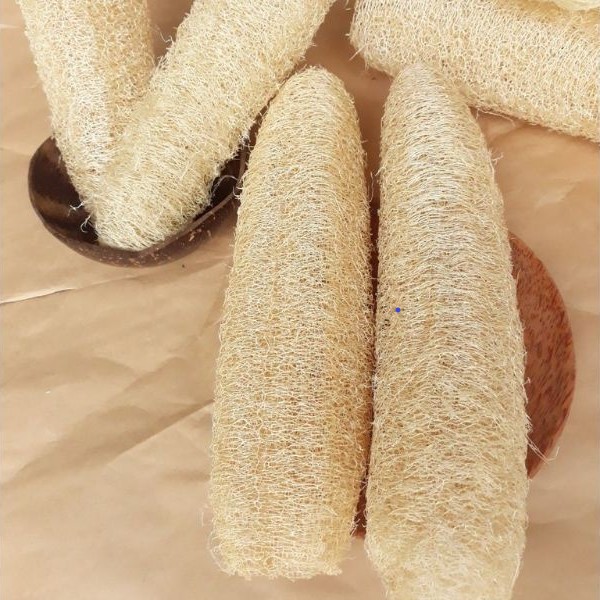 ธรรมชาติ