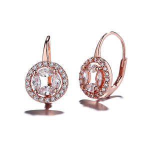 Orecchini Rotondi in Argento Sterling con Cristalli e Design Halo Omega con Chiusura a Leva - Product Image 1