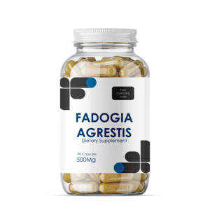 Extrait de poudre sauvage de Fadogia Agrestis en flacon, vitamine de qualité supérieure, certifié GMP, complément alimentaire naturel de haute qualité, approvisionnement en vrac - Product Image 1