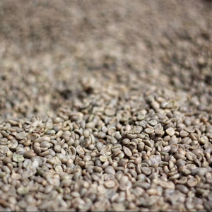 High Quality TNFOOD Organic Arabica <b>Green</b> Coffee <b>Beans</b> Size 16 USDA Organic Certification AA+ Grade 1000kg Broken Black Only - Product Image 1