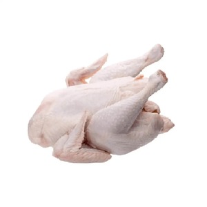 Carne de aves de corral criada en granja con alto contenido de proteínas, fresca o congelada, carne de pollo entero sacrificada, proveedor de exportación a granel para mercados mayoristas - Product Image 2