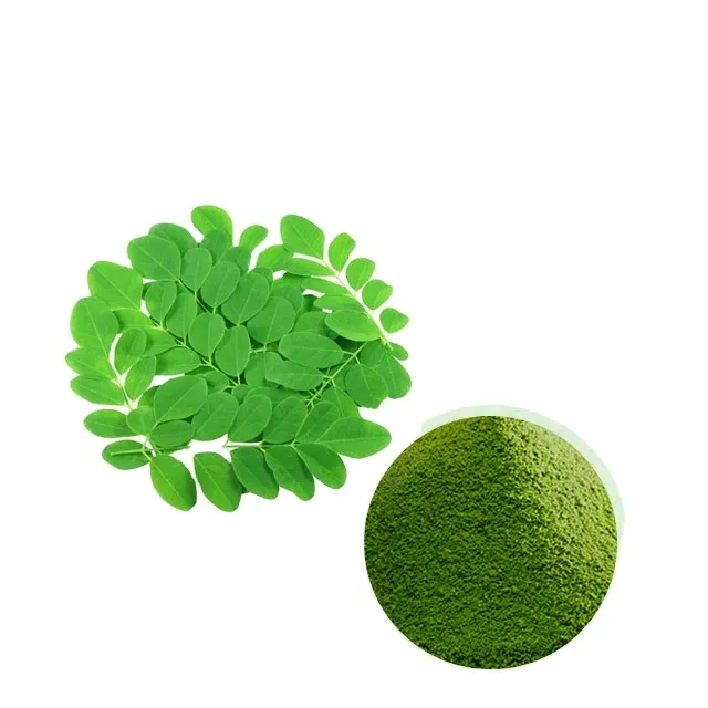 Longze moringa 잎 공급 업체 2023 설탕 환자에게 좋은 고순도 moringa extrae 및 성인을위한 Moringa 잎 분말 판매