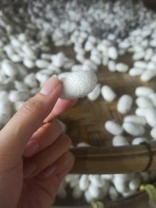 Fournisseur en gros d'exportation de cocon de soie naturelle du Vietnam, traitement de beauté haut de gamme - Product Image 2