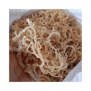 สาหร่ายทะเลสีทอง Eucheuma มอสทะเลสีทองอบแห้งสาหร่าย Eucheuma cottonii ราคาถูกจาก99ข้อมูลเวียดนาม - Product Image 4