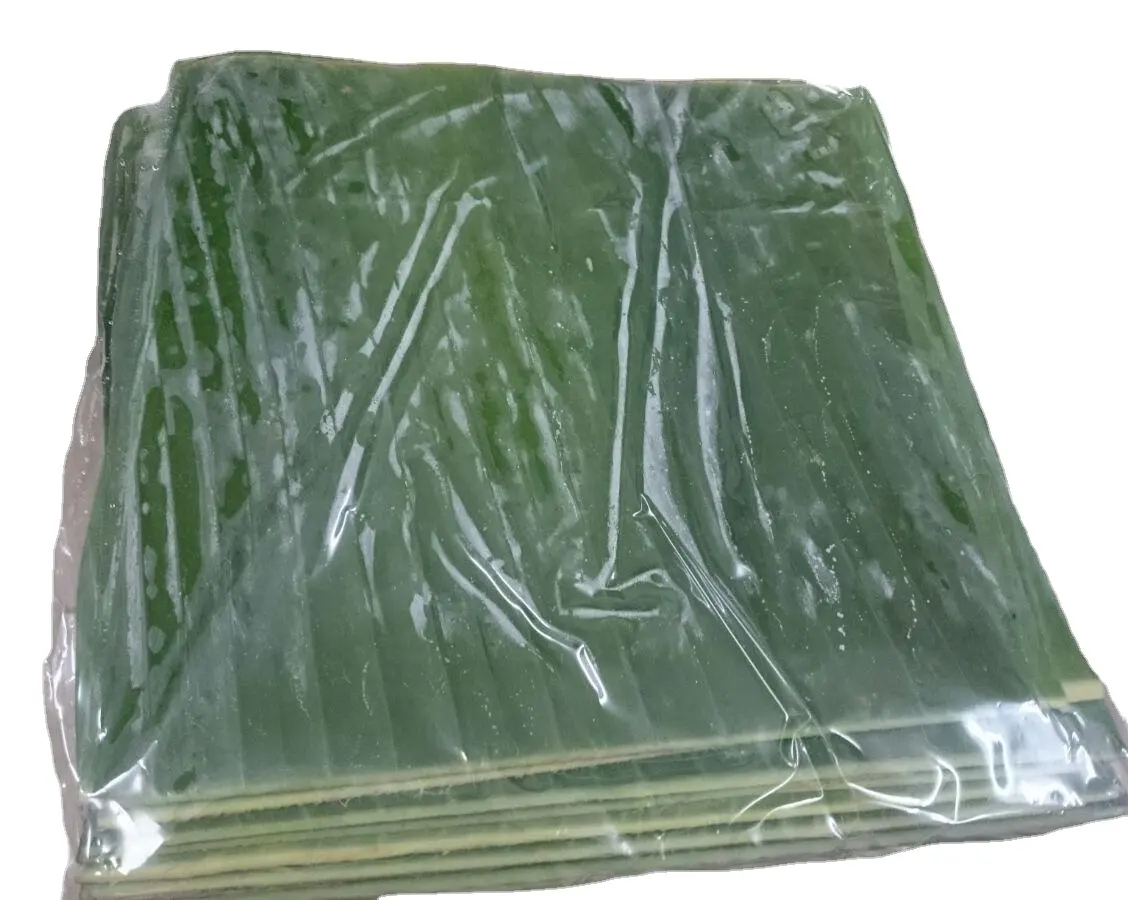 Premium Vietnamese Green Banana Leaves for Sale Wholesale Deals 100% Natural Fresh Good Price