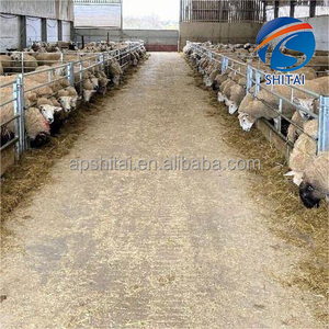 Valla de ganado portátil de alta calidad, panel de valla de cabra de Corral soldado antioxidante, obstáculo de ovejas galvanizado de alto zinc <span class=keywords><strong>para</strong></span> granja de ovejas - Product Image 2