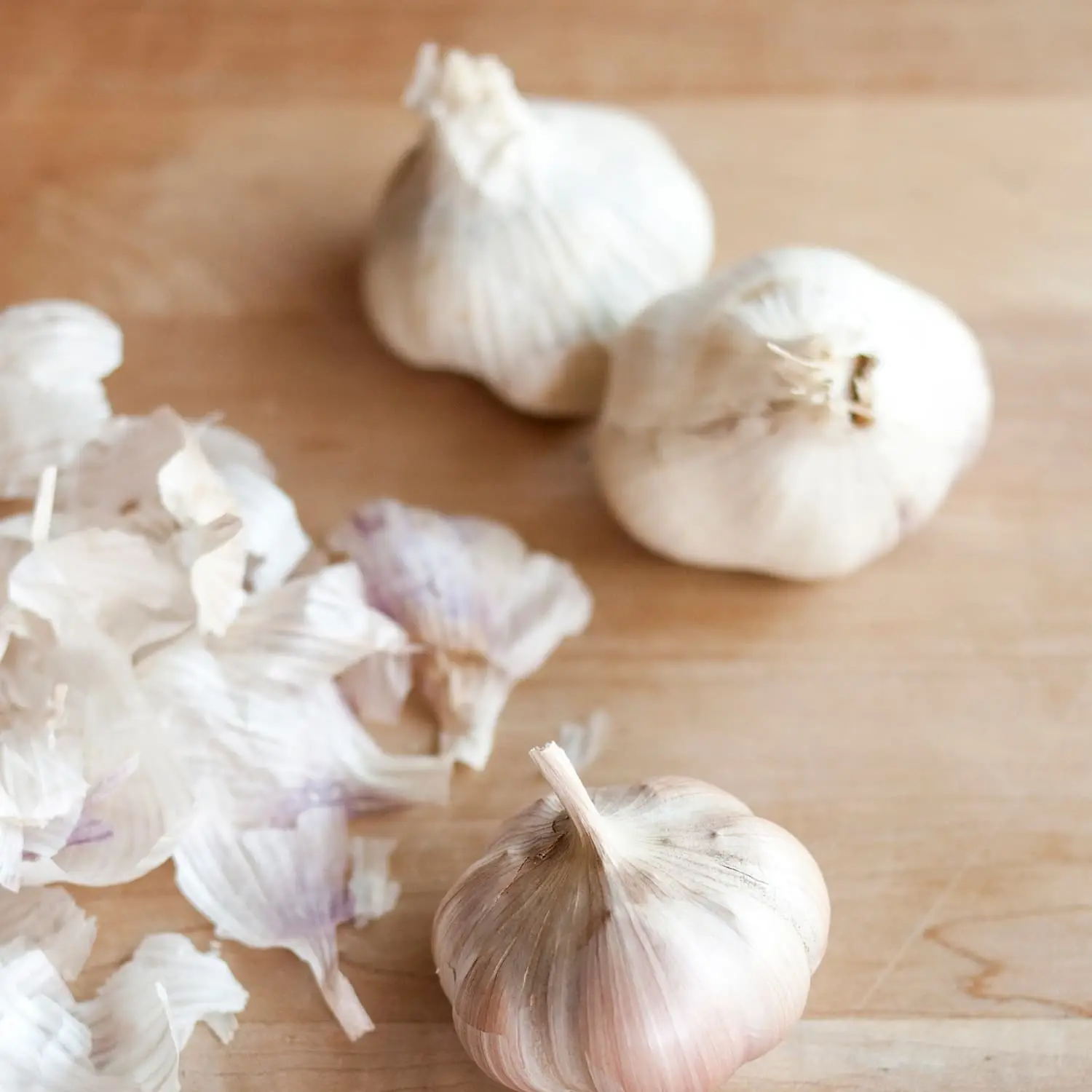 High Grade Fresh garlic/Normal White Garlic/Pure White Garlic for sale