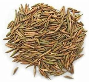 สารสกัดจาก CO2เมล็ดอินทราจาวา - Product Image 2