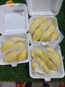 Hot Deal: Durian entier frais congelé du Vietnam - Product Image 5