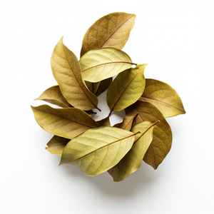 Hojas de Guanábana de hierbas vietnamitas secas naturalmente, producto agrícola a un precio económico - Product Image 4