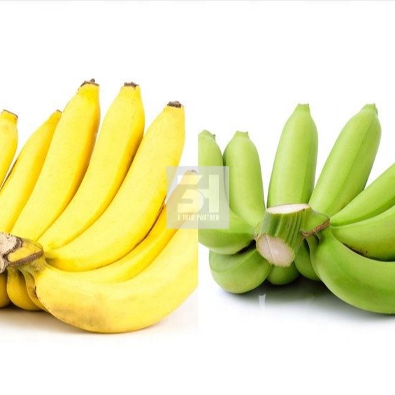 Кавендиш банан по хорошей цене из сельскохозяйственного Вьетнама, лучшая поддержка для покупателей 2023