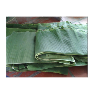 Paquet de feuilles de bananier congelées à prix compétitif, meilleure vente, traitement de la forme, feuilles de bananier congelées 99GD du Vietnam - Product Image 1