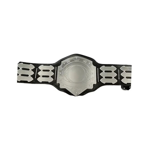 Ceinture de champion personnalisée de haute qualité avec logo, plaques en zinc argenté vierges, multi-plaques, pour boxe, MMA, trophée, arts martiaux, antidérapante - Product Image 2