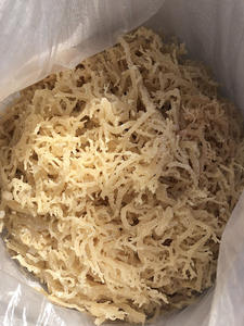 Venta caliente 100% Musgo de mar orgánico seco y recién empaquetado en bolsa de Vietnam Precio rico en nutrientes por La Sra. Joy - Product Image 5