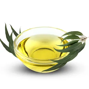 Pure and Organic Eucalyptus Oil Manufacturers & Suppliers In India Wholesale Eucalyptus Aromatic Essential Oil