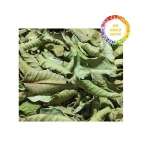 Té de Hoja de Guayaba Producido en Vietnam con Origen Directo de la Granja, Garantizando Material Botánico Seco y Limpio, Ideal para los Requisitos del Comprador - Product Image 4