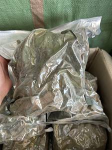 Feuilles de corossol séchées (graviola) adaptées à la recherche d'ingrédients, avec une taille uniforme des feuilles et une présentation propre - Product Image 2